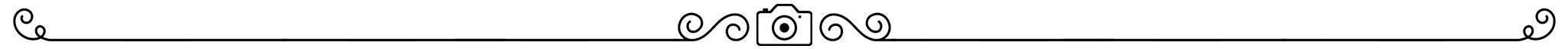 Decorative separator